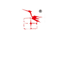 壽光市飛田電子有限公司